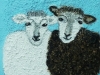 27 - schapen